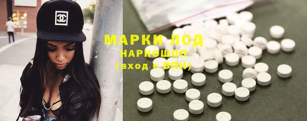 прущие грибы Михайловск