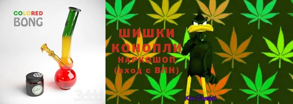стаф Мегион