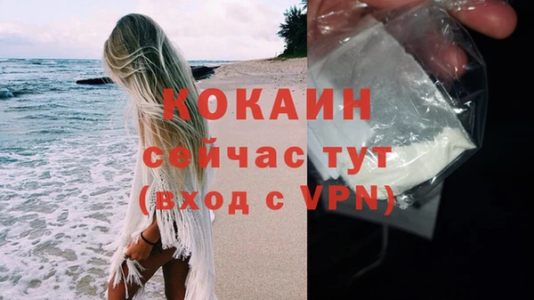 стаф Мегион