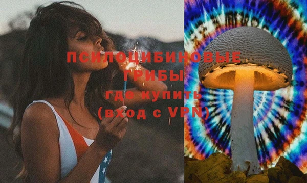 PSILOCYBIN Бугульма