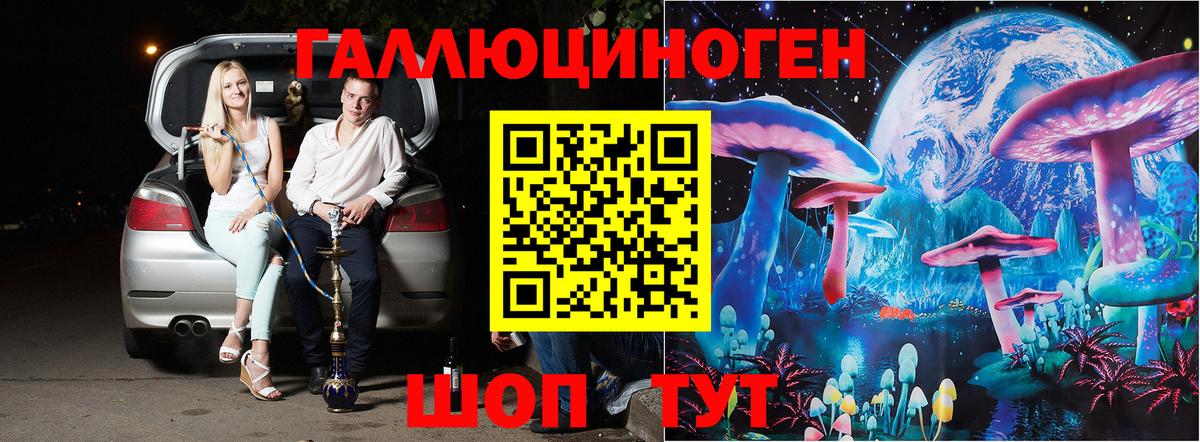 Псилоцибиновые грибы Cubensis  Нягань 