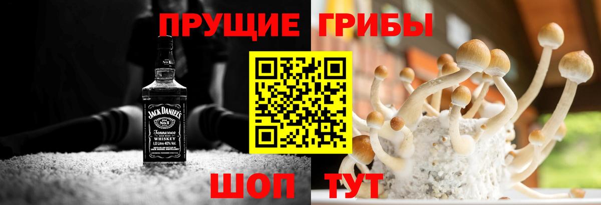 Нягань  Псилоцибиновые грибы GOLDEN TEACHER  Вход с VPN  магазин    Псилоцибиновые грибы GOLDEN TEACHER 