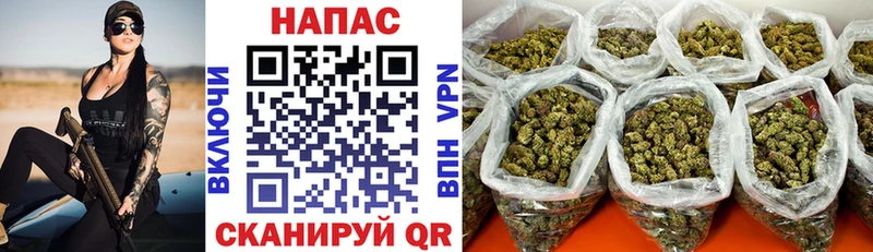 Шишки марихуана сатива  Нягань 