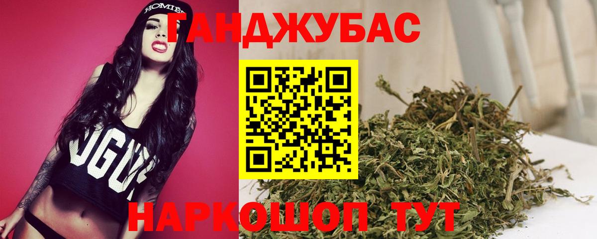 Бошки Шишки планчик Нягань